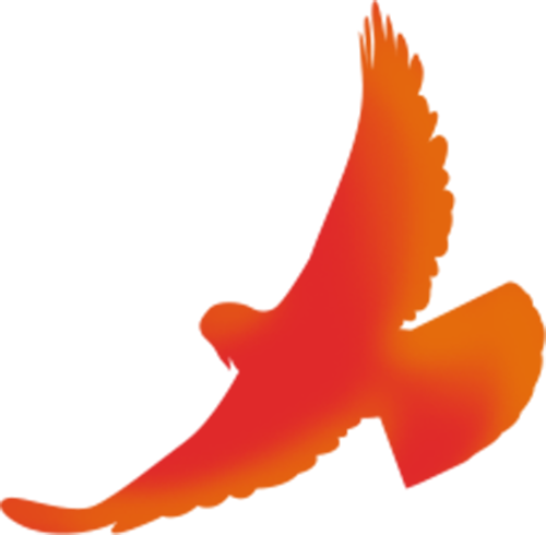 微信圖片_2026-06-02_163844_838.png